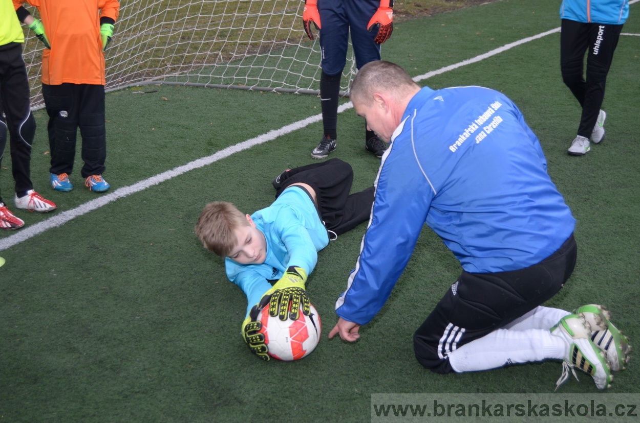 BFŠJCH - Zima 2016 - 8.2.2016