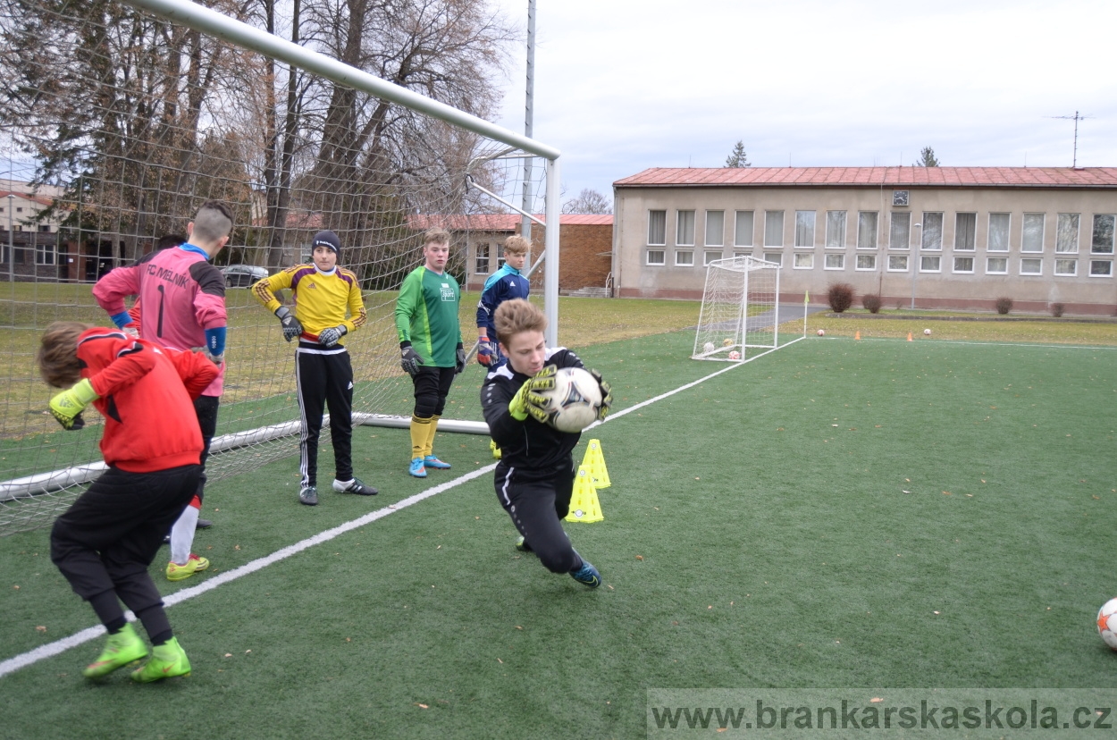 BFŠJCH - Zima 2016 - 8.2.2016