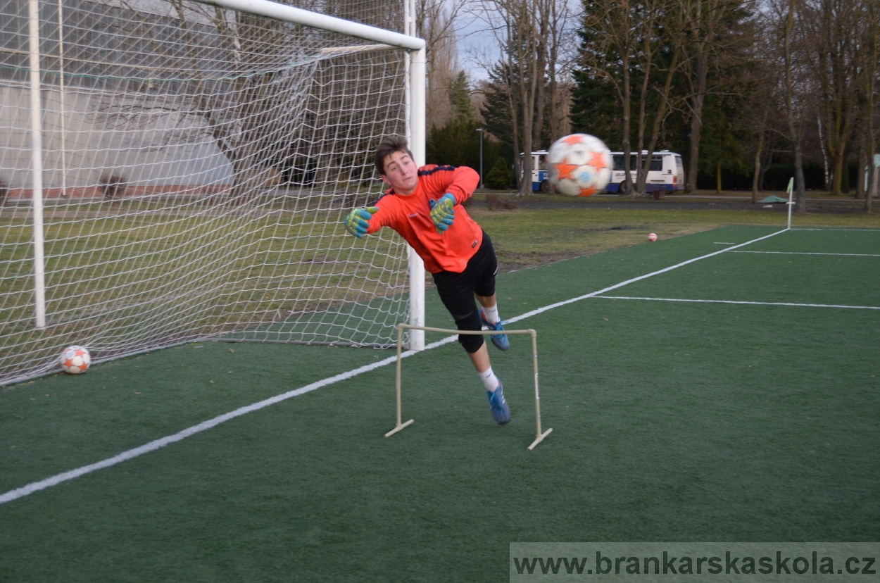 BFŠJCH - Zima 2016 - 8.2.2016