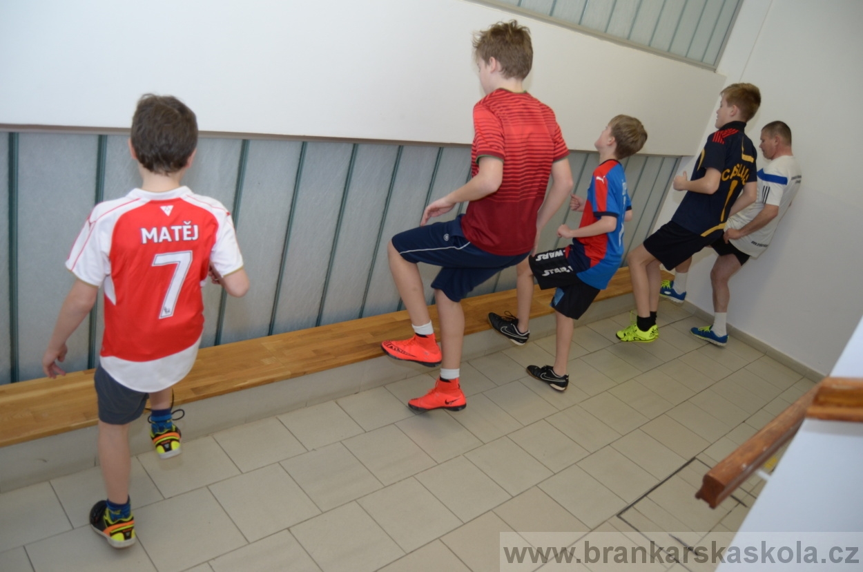 BFŠJCH - Zima 2016 - 8.2.2016