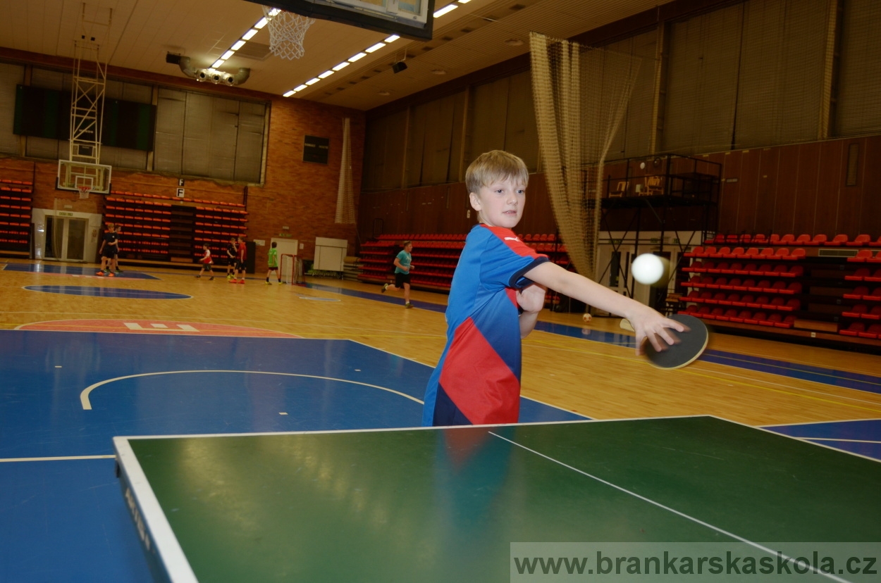 BFŠJCH - Zima 2016 - 8.2.2016