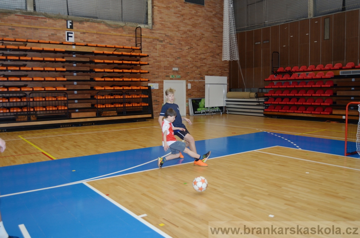 BFŠJCH - Zima 2016 - 8.2.2016