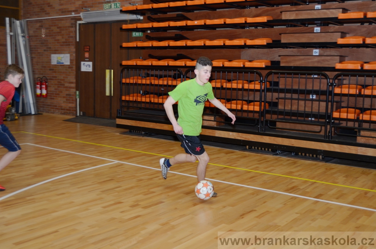 BFŠJCH - Zima 2016 - 8.2.2016