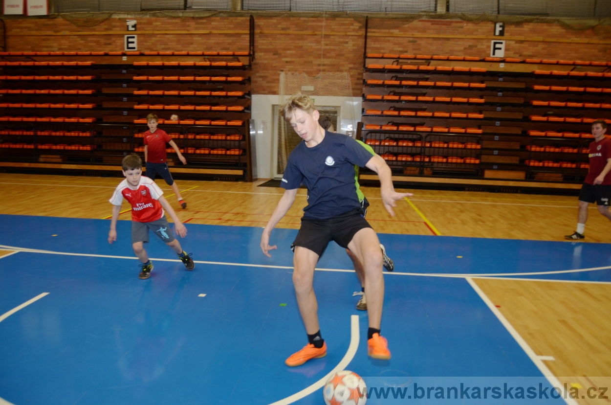 BFŠJCH - Zima 2016 - 8.2.2016