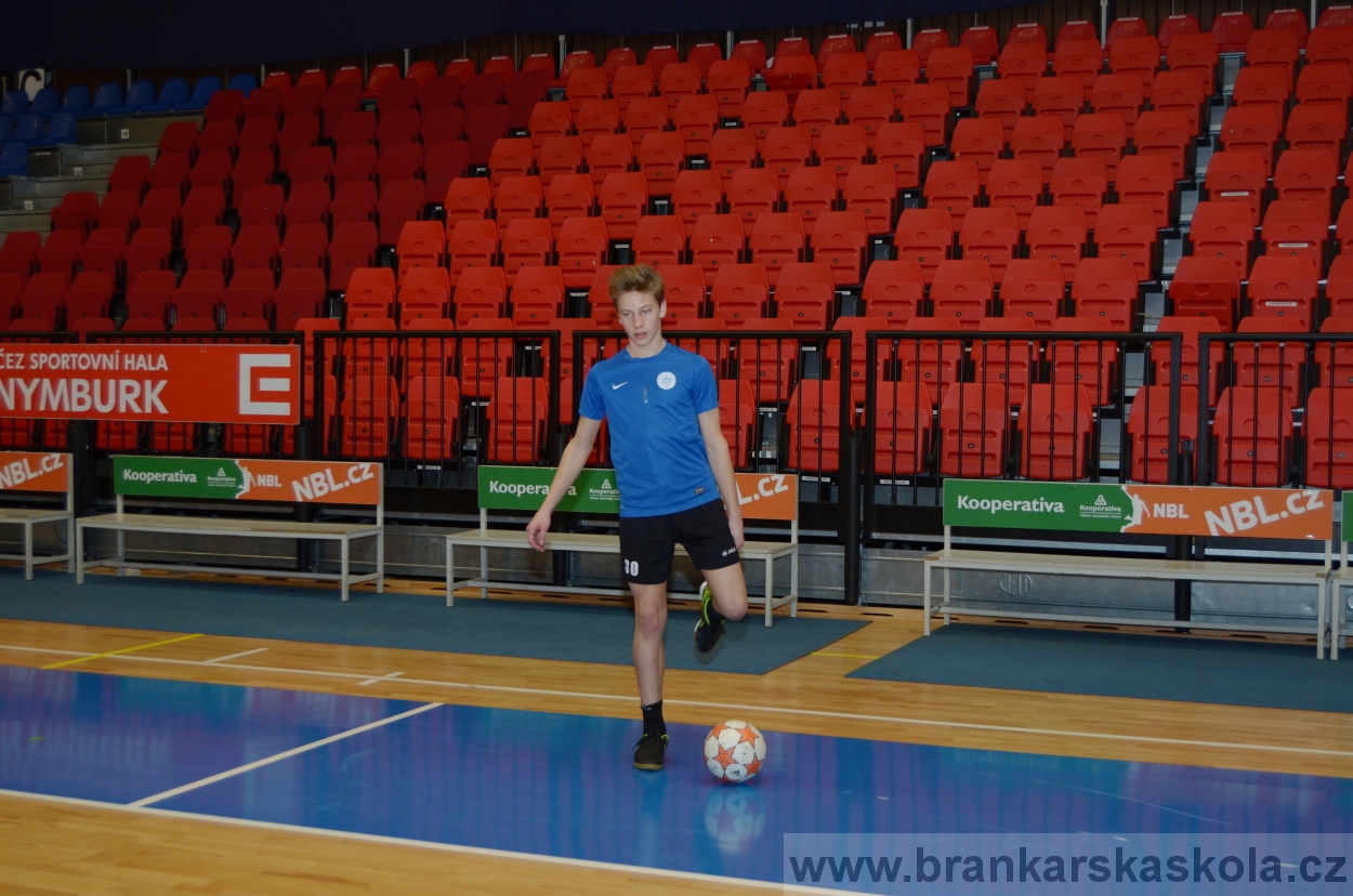 BFŠJCH - Zima 2016 - 8.2.2016