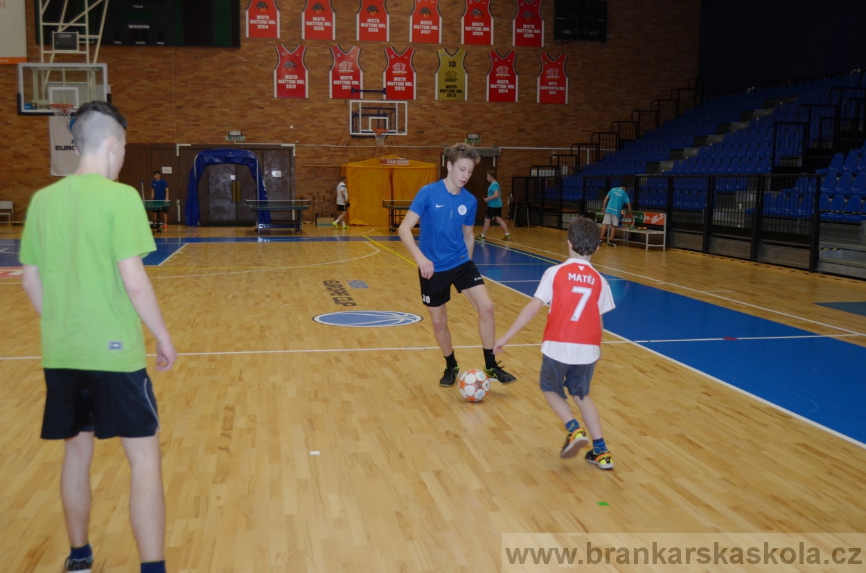 BFŠJCH - Zima 2016 - 8.2.2016