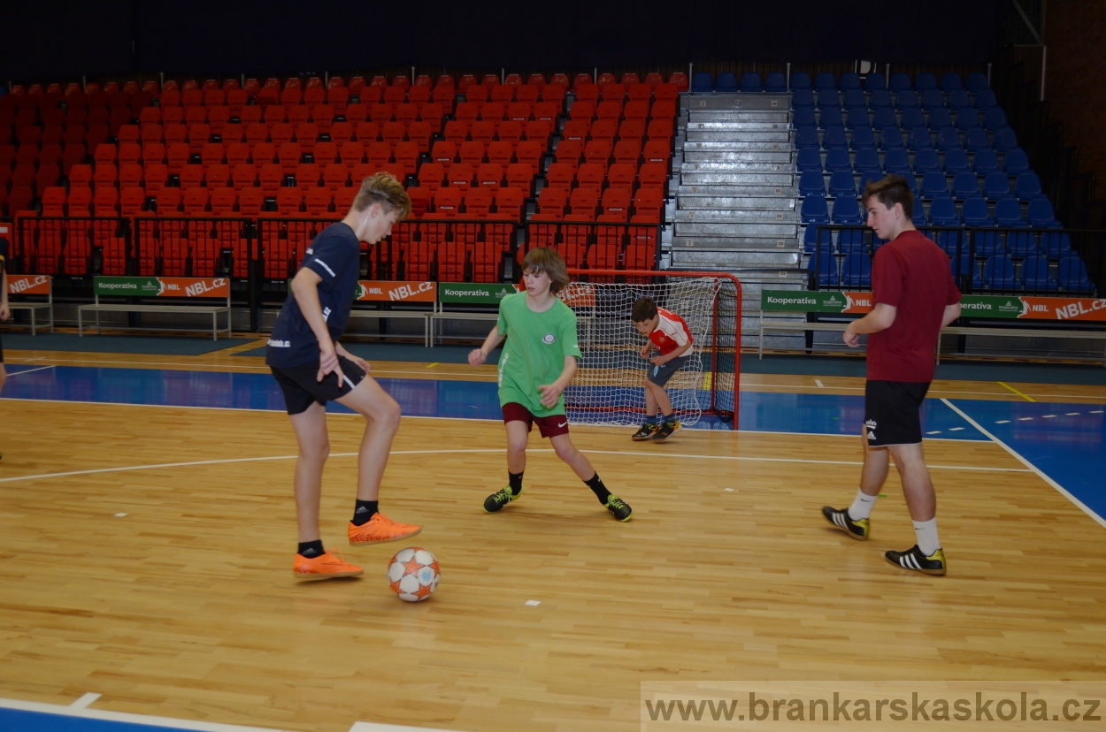 BFŠJCH - Zima 2016 - 8.2.2016