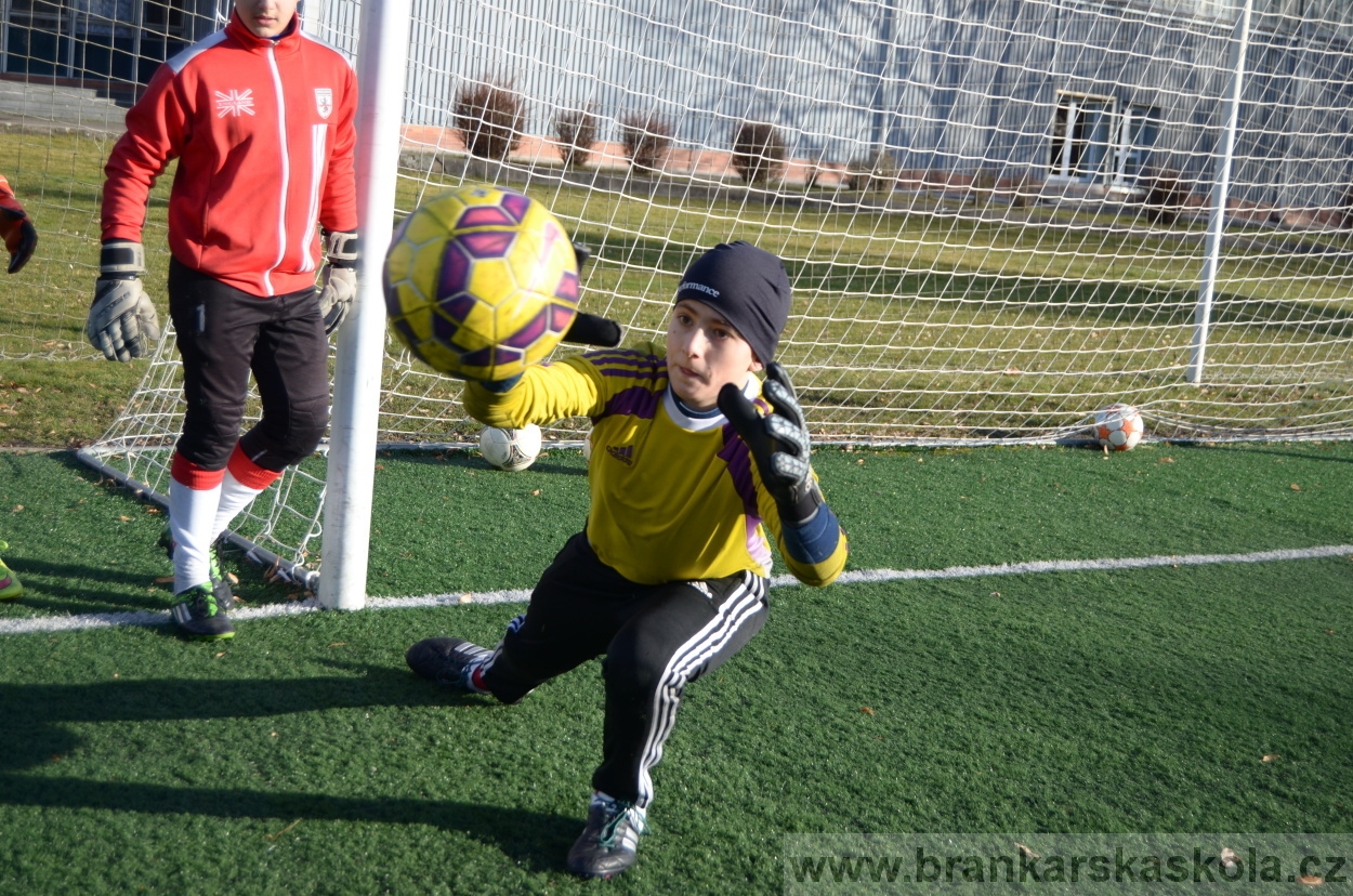 BFŠJCH - Zima 2016 - 9.2.2016
