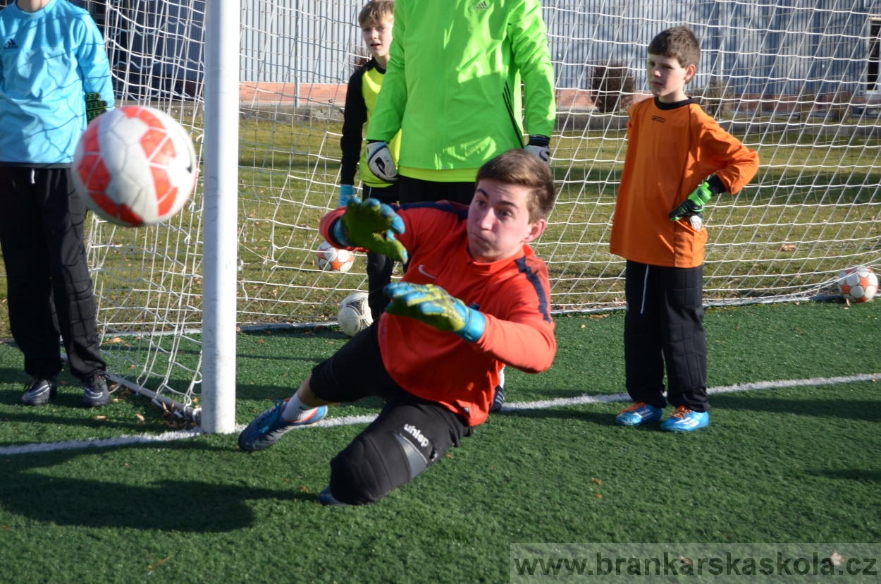 BFŠJCH - Zima 2016 - 9.2.2016