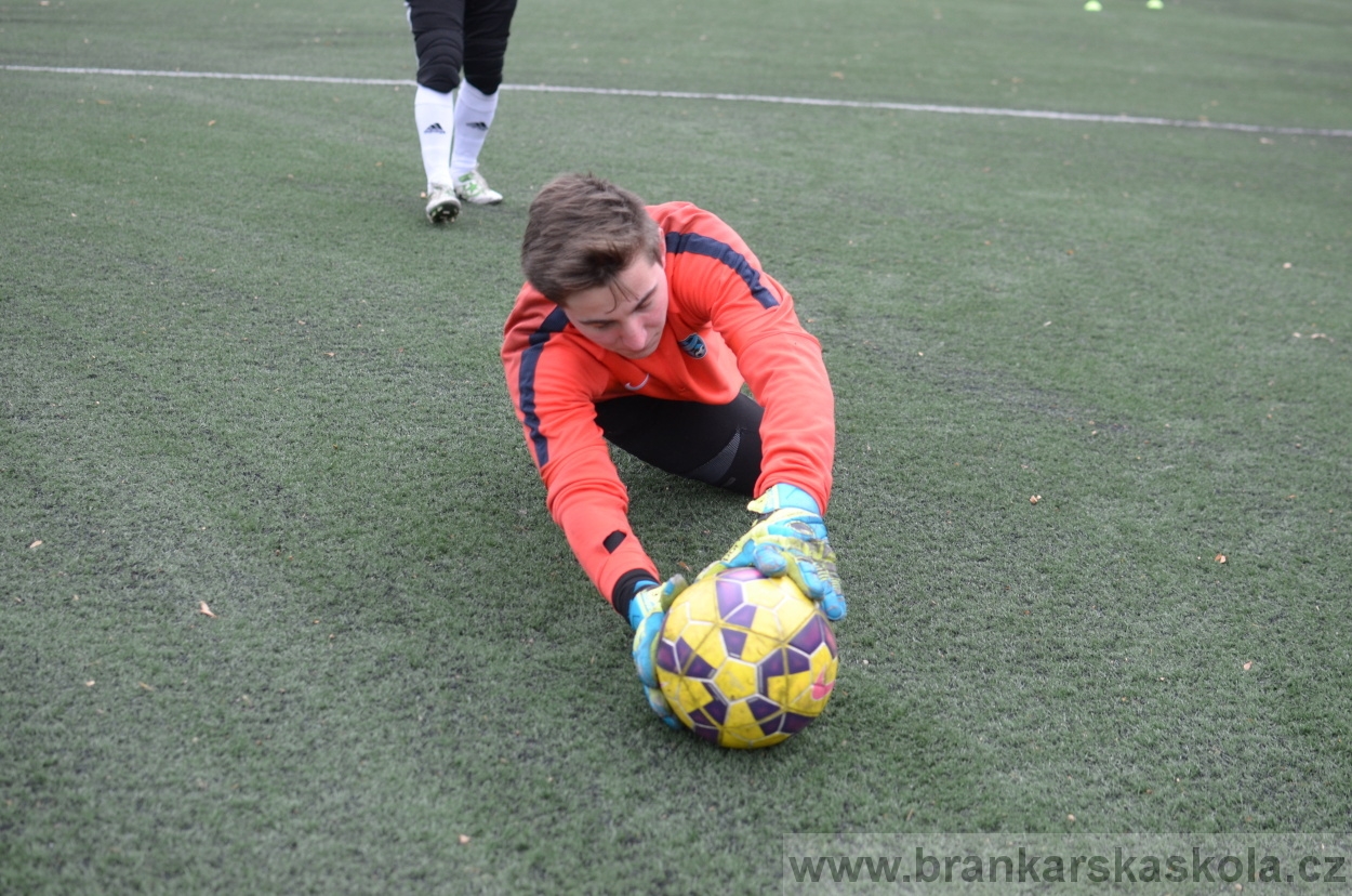 BFŠJCH - Zima 2016 - 9.2.2016