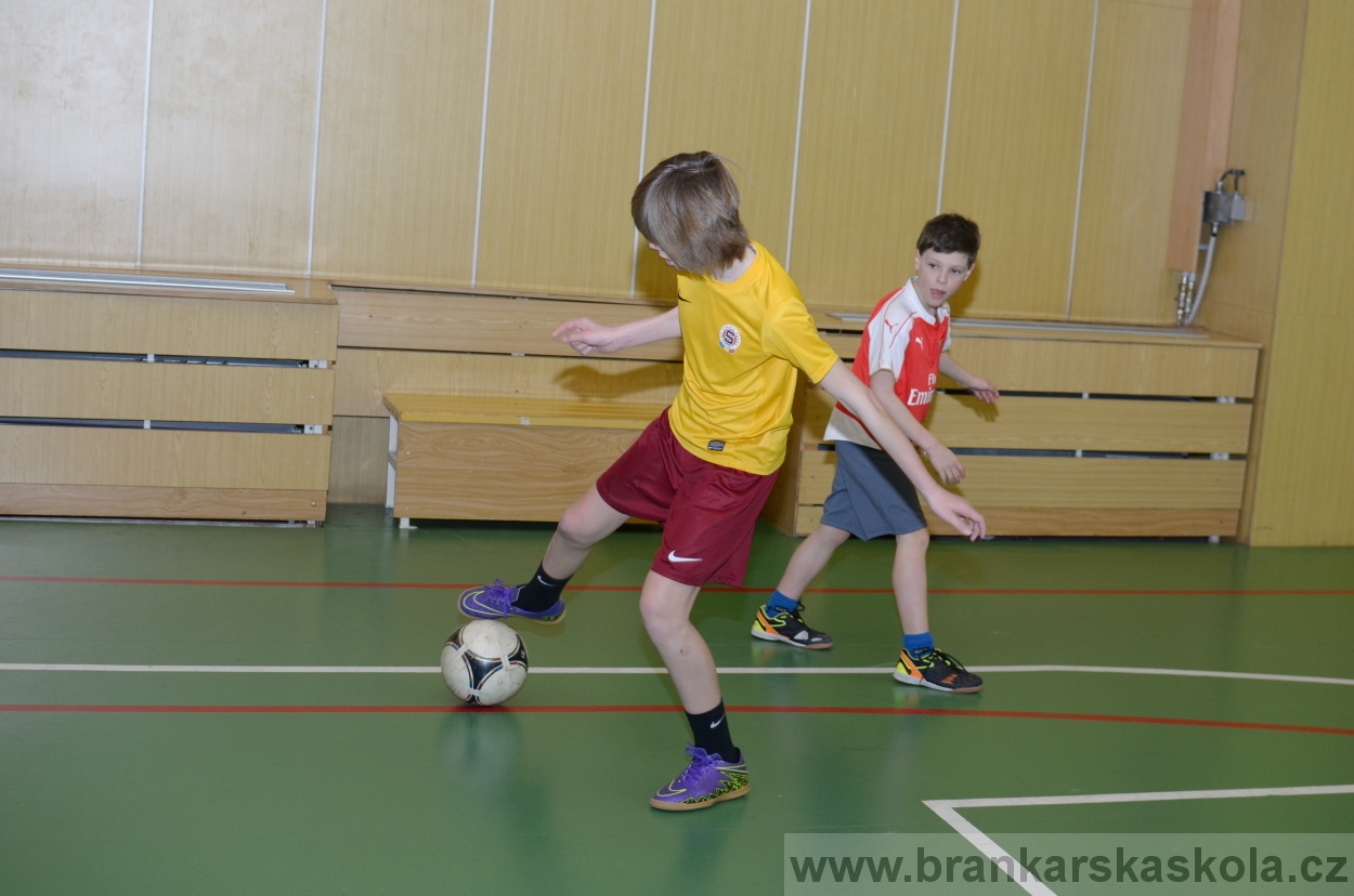 BFŠJCH - Zima 2016 - 9.2.2016