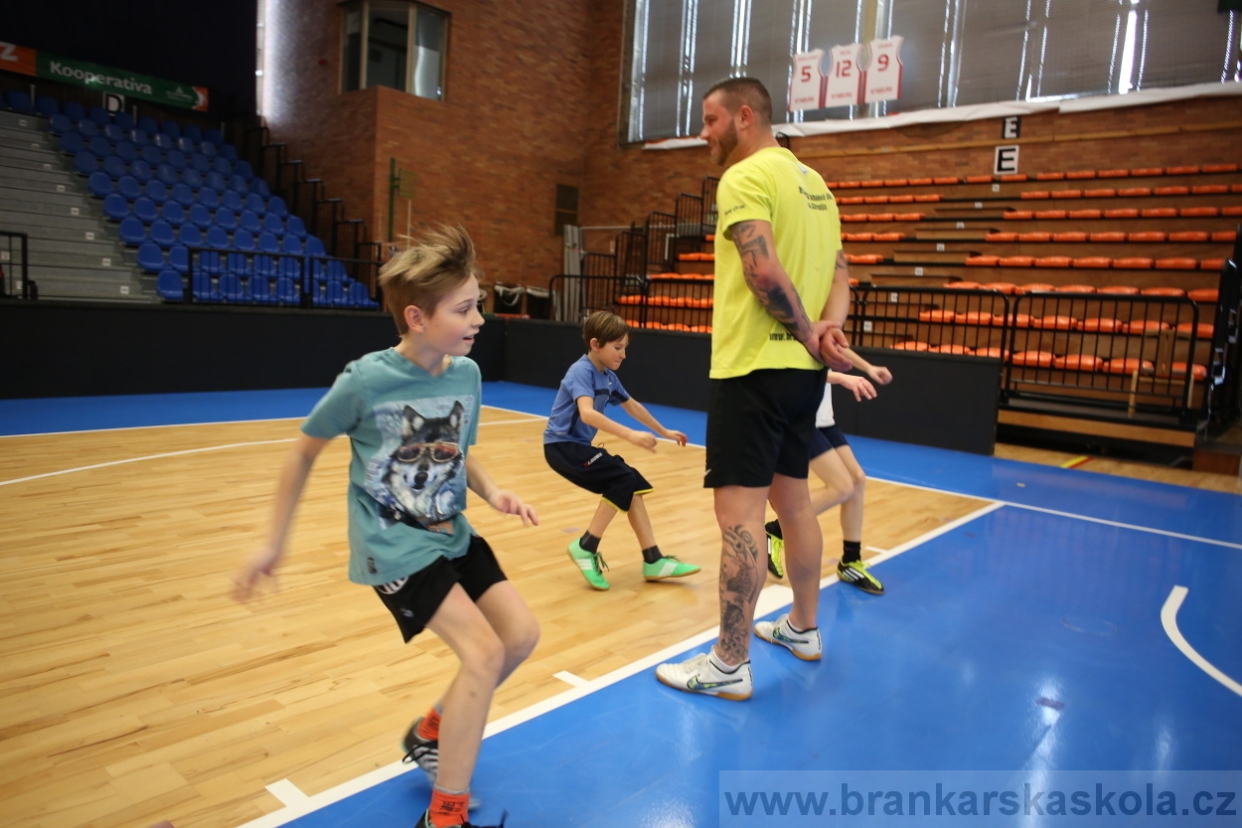 BFŠJCH - Zima 2017 - 2.2,2017