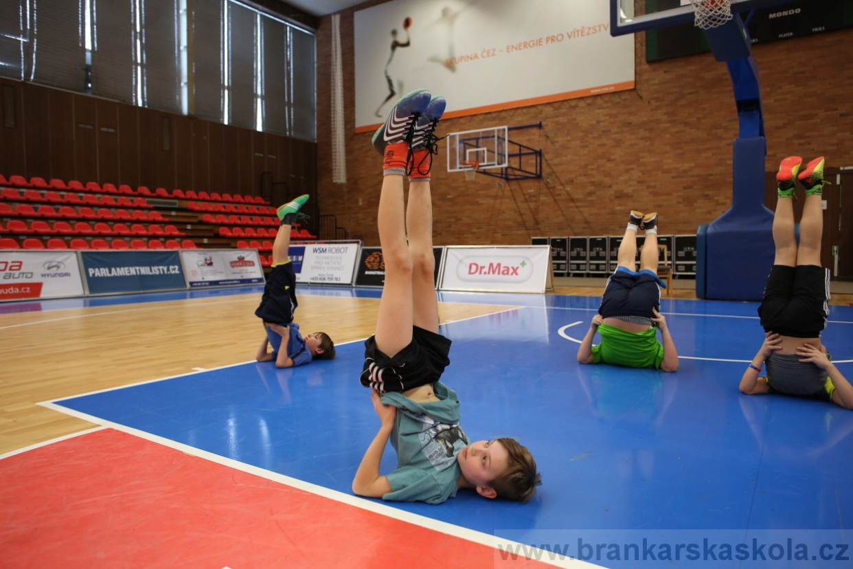 BFŠJCH - Zima 2017 - 2.2,2017