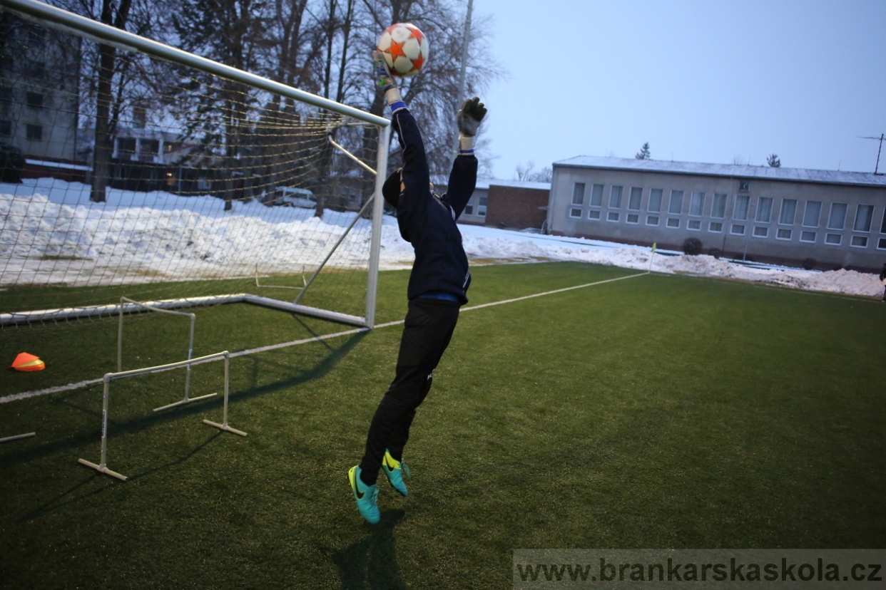 BFŠJCH - Zima 2017 - 2.2,2017