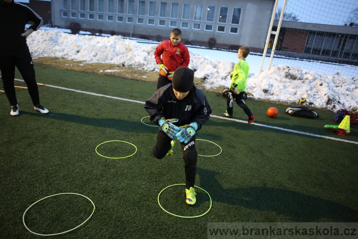 BFŠJCH - Zima 2017 - 2.2,2017