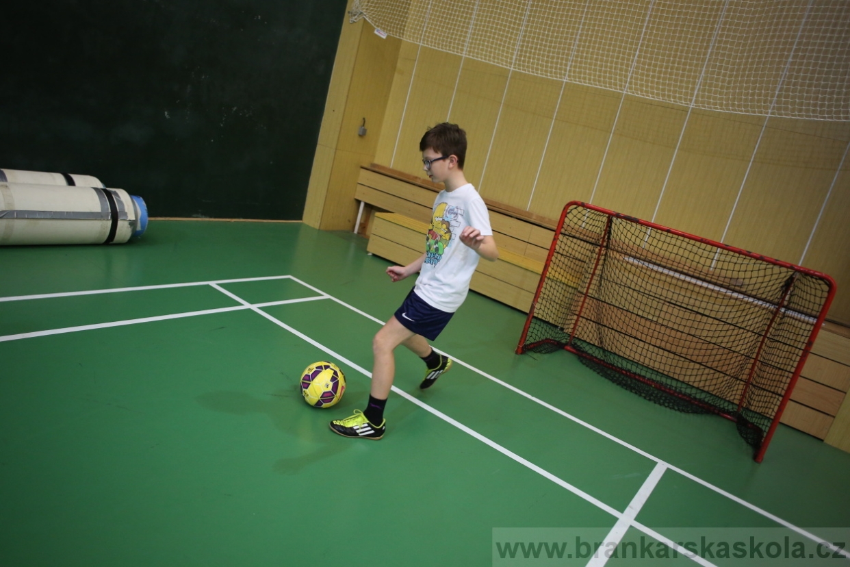 BFŠJCH - Zima 2017 - 2.2,2017