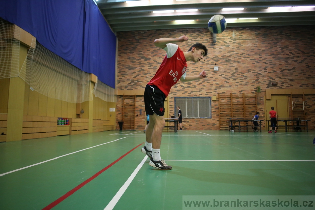 BFŠJCH - Zima 2017 - 2.2,2017