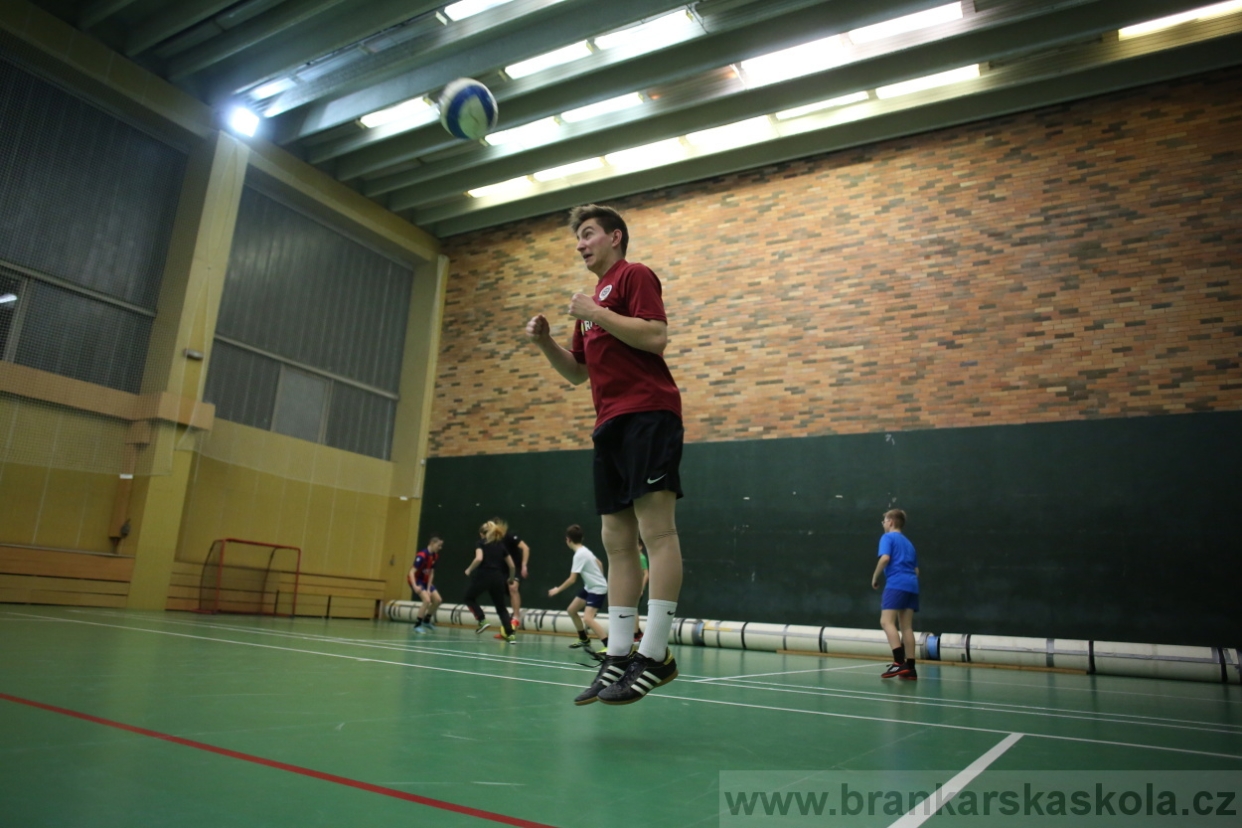 BFŠJCH - Zima 2017 - 2.2,2017