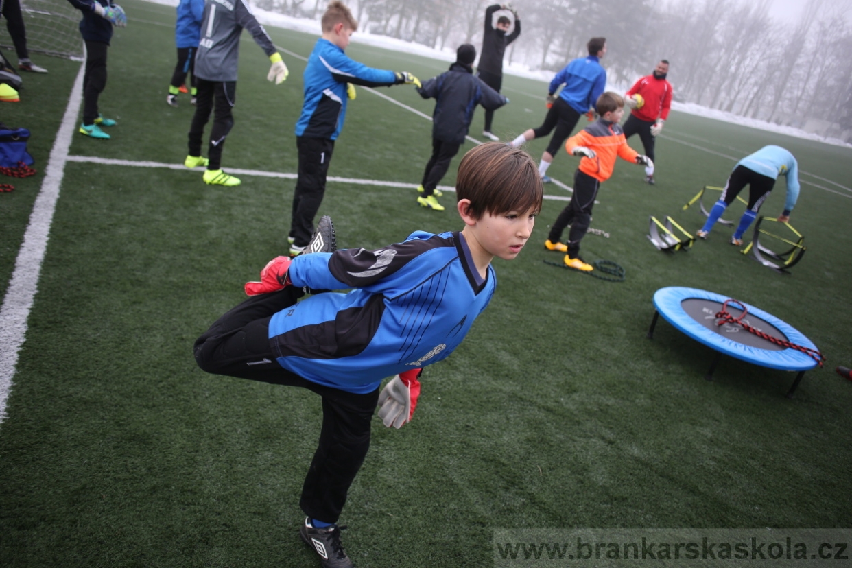 BFŠJCH - Zima 2017 - 3.2,2017