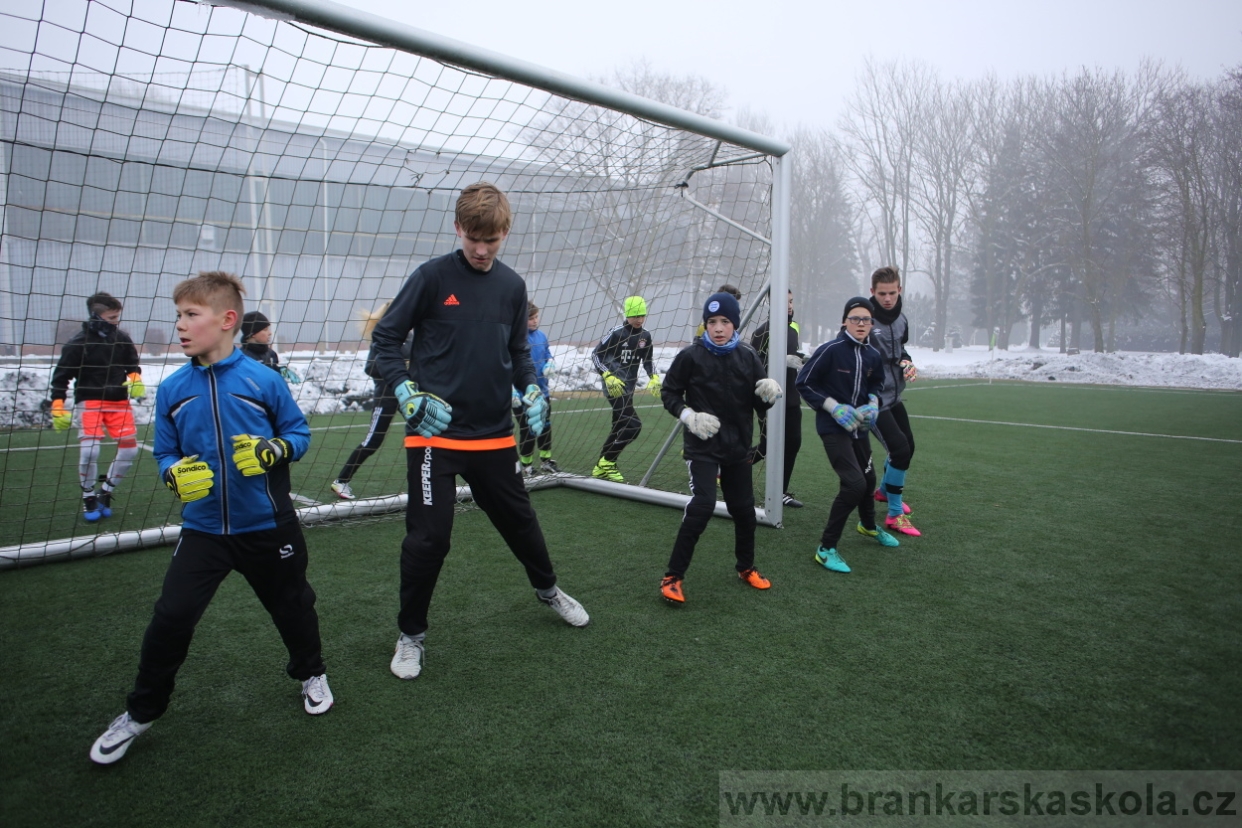 BFŠJCH - Zima 2017 - 3.2,2017