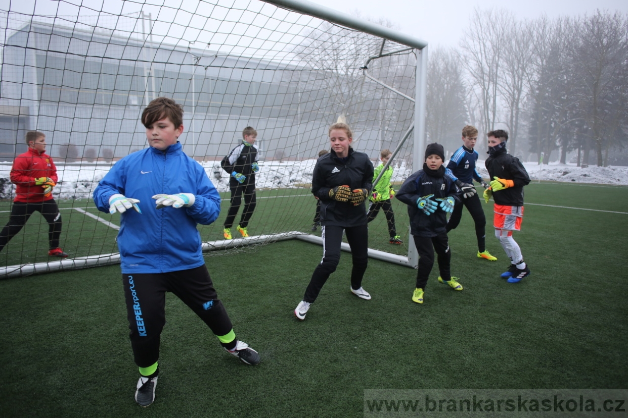 BFŠJCH - Zima 2017 - 3.2,2017