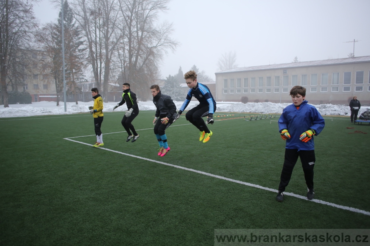 BFŠJCH - Zima 2017 - 3.2,2017