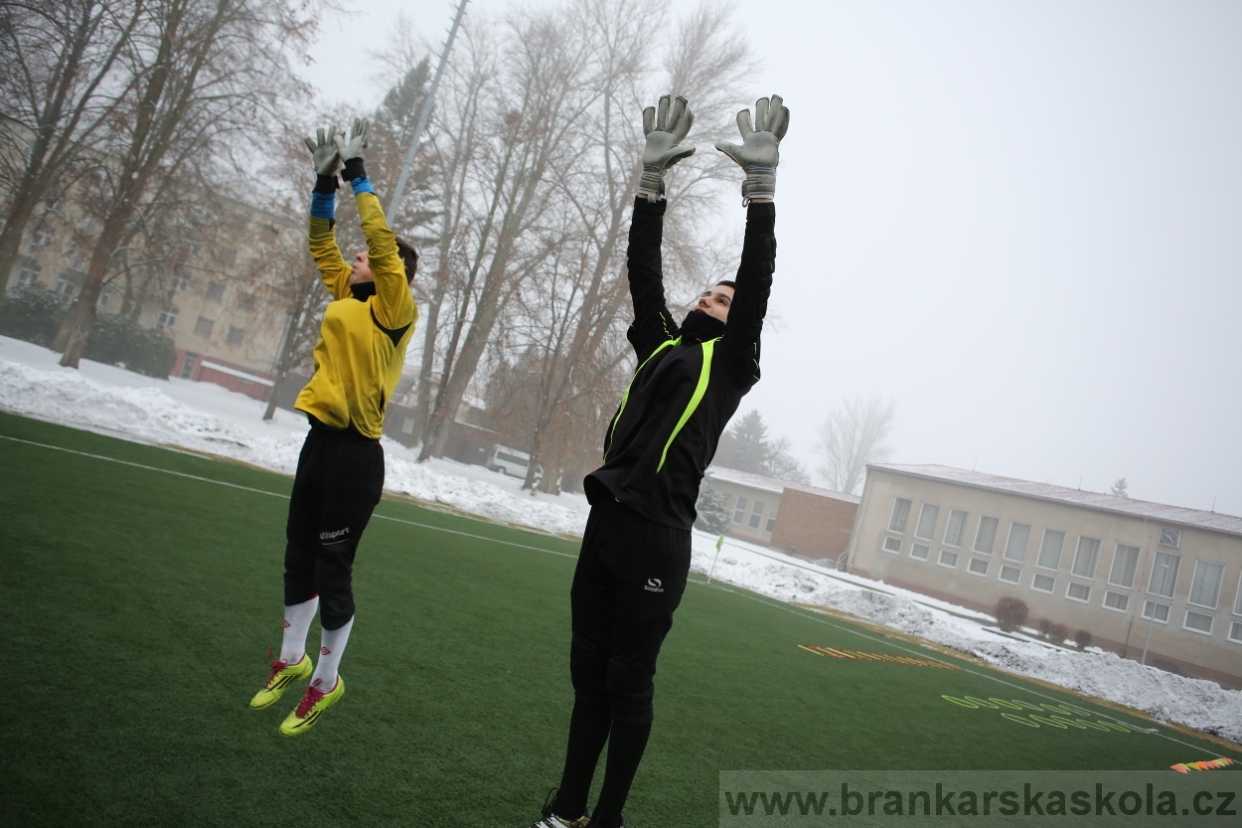 BFŠJCH - Zima 2017 - 3.2,2017