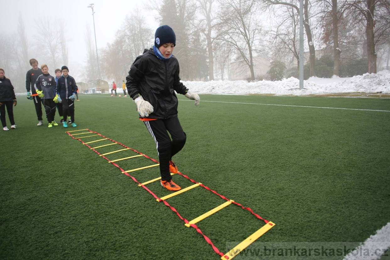 BFŠJCH - Zima 2017 - 3.2,2017