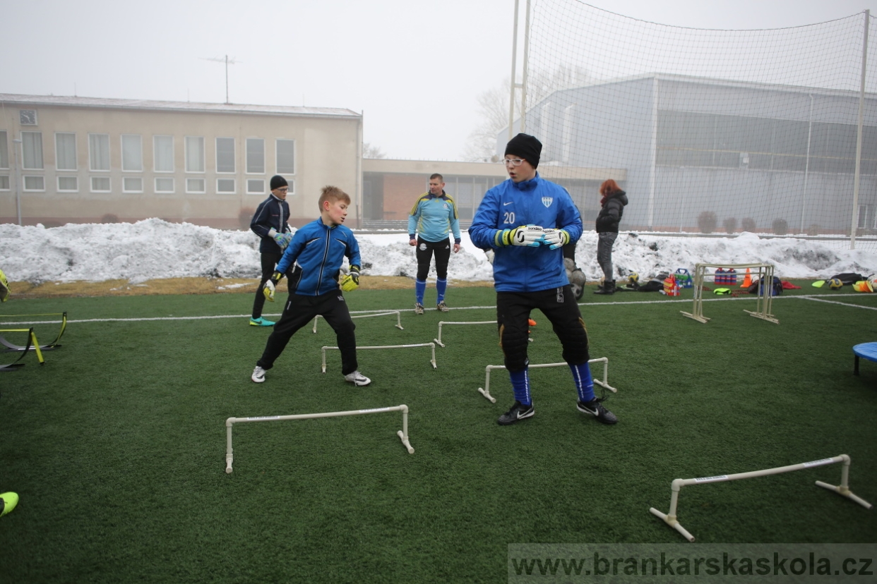 BFŠJCH - Zima 2017 - 3.2,2017