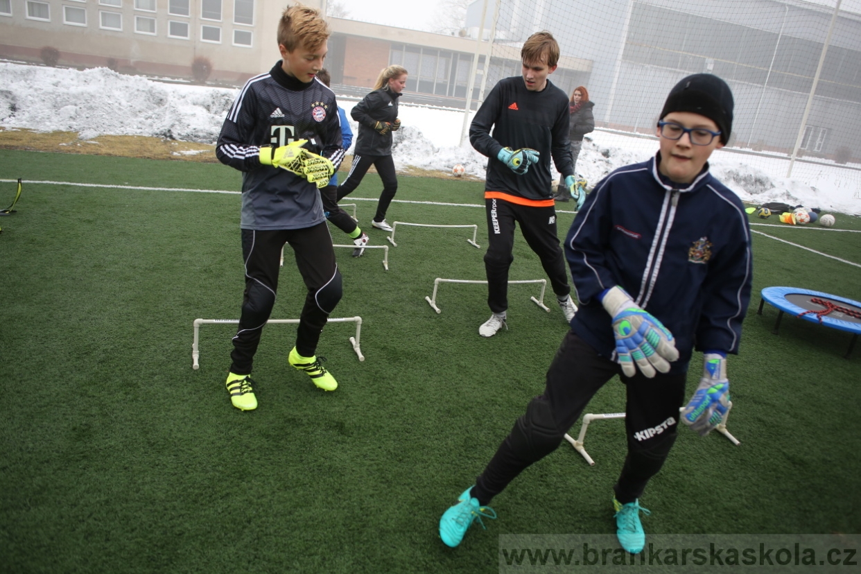 BFŠJCH - Zima 2017 - 3.2,2017
