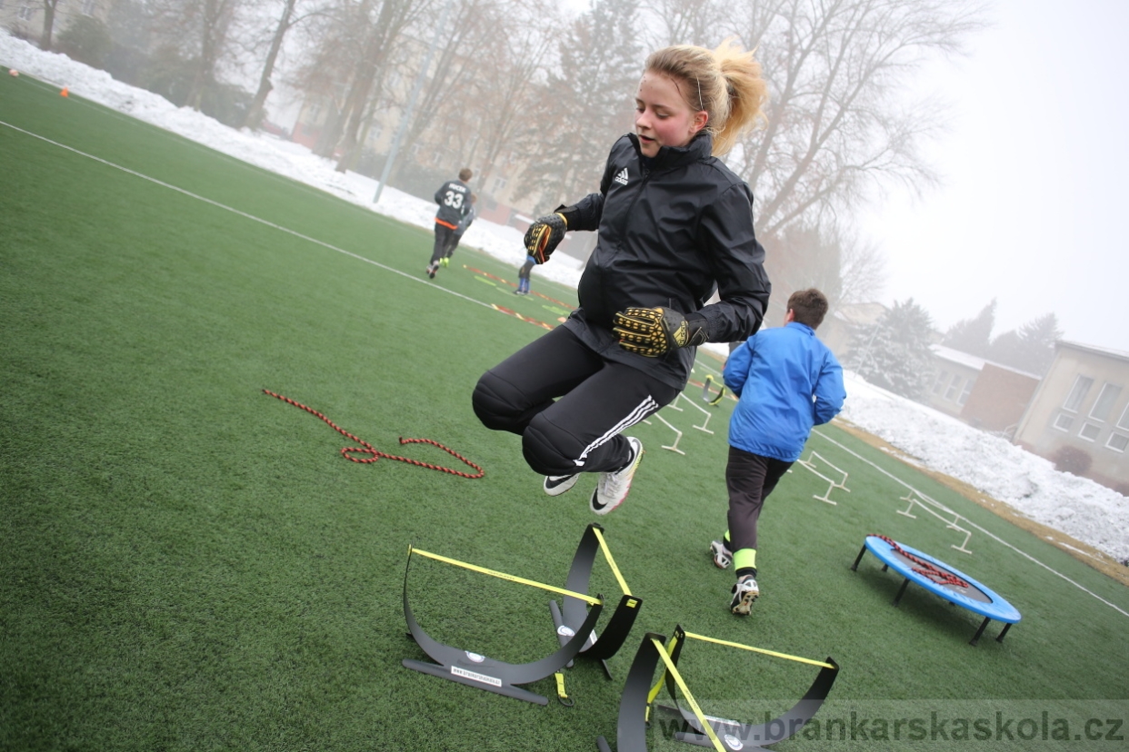 BFŠJCH - Zima 2017 - 3.2,2017