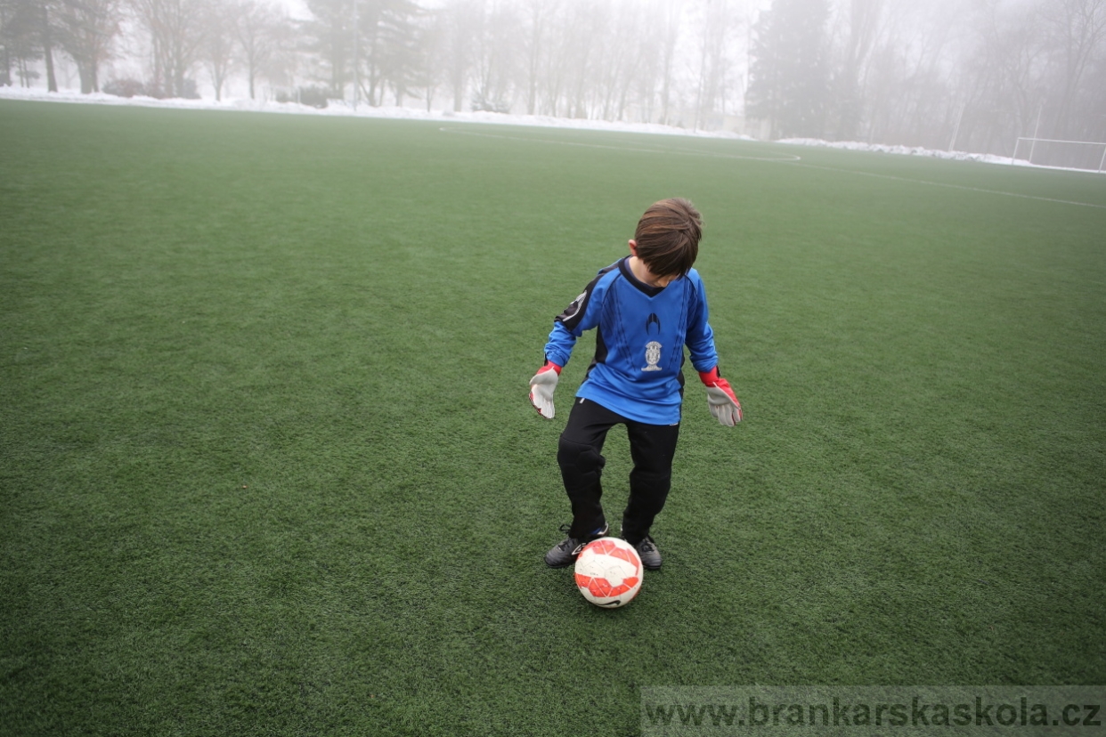 BFŠJCH - Zima 2017 - 3.2,2017