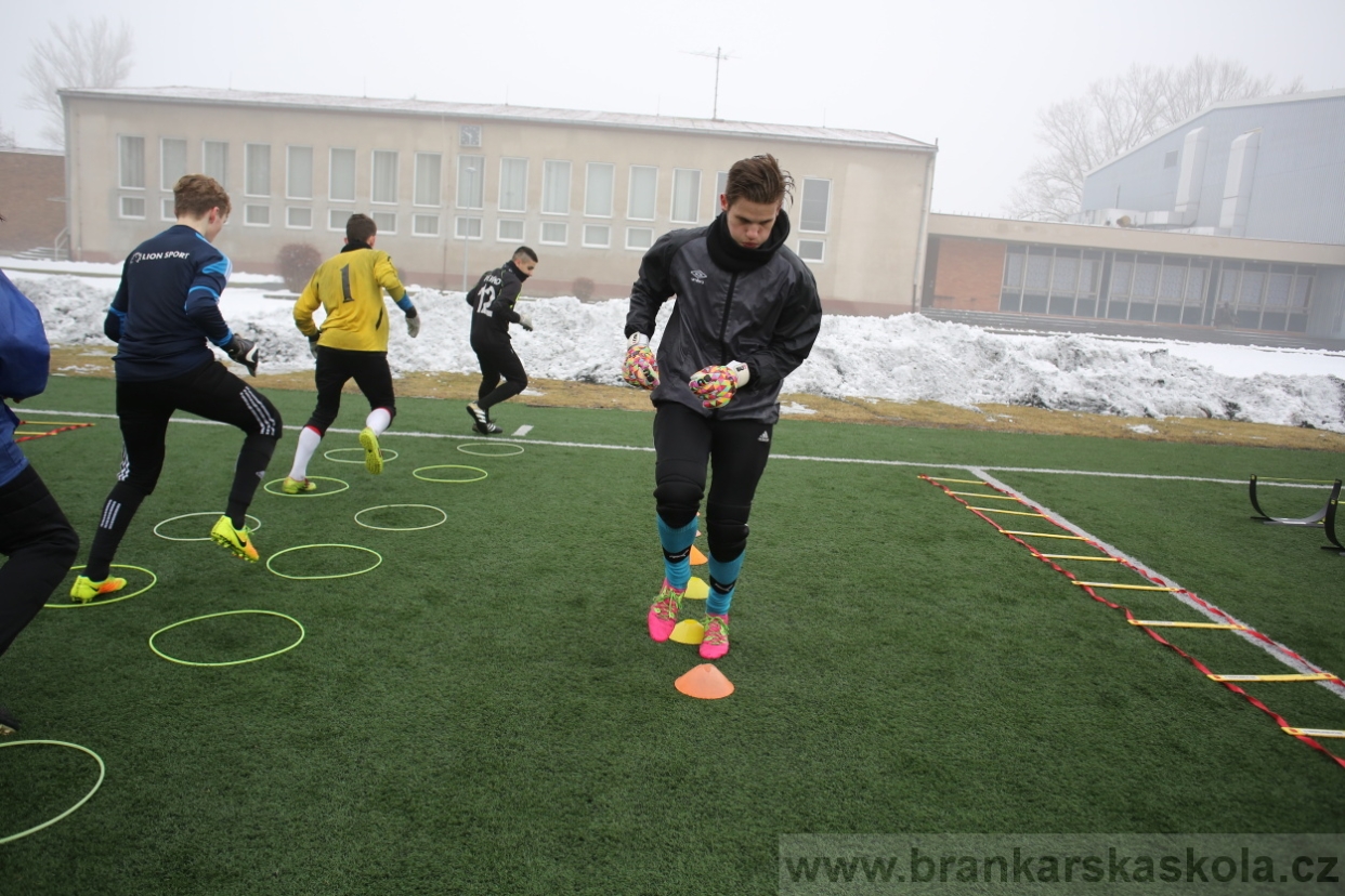BFŠJCH - Zima 2017 - 3.2,2017