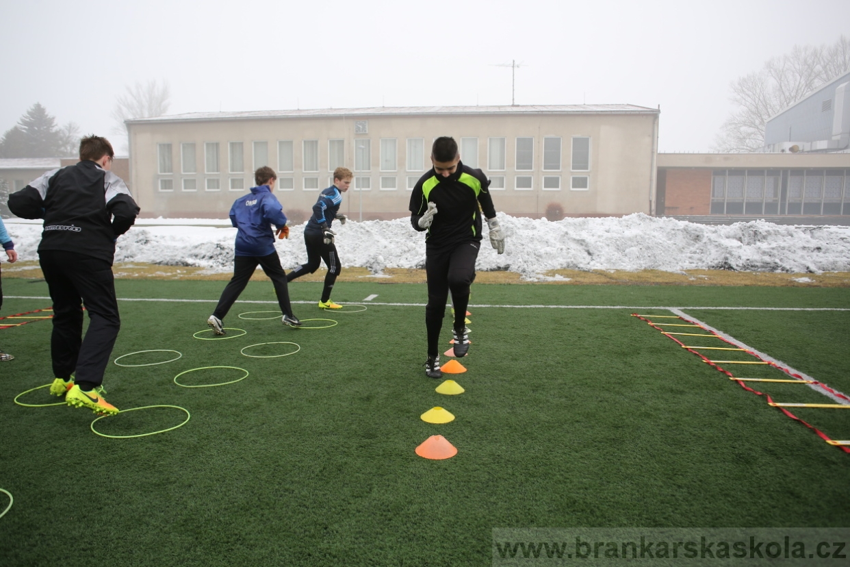 BFŠJCH - Zima 2017 - 3.2,2017