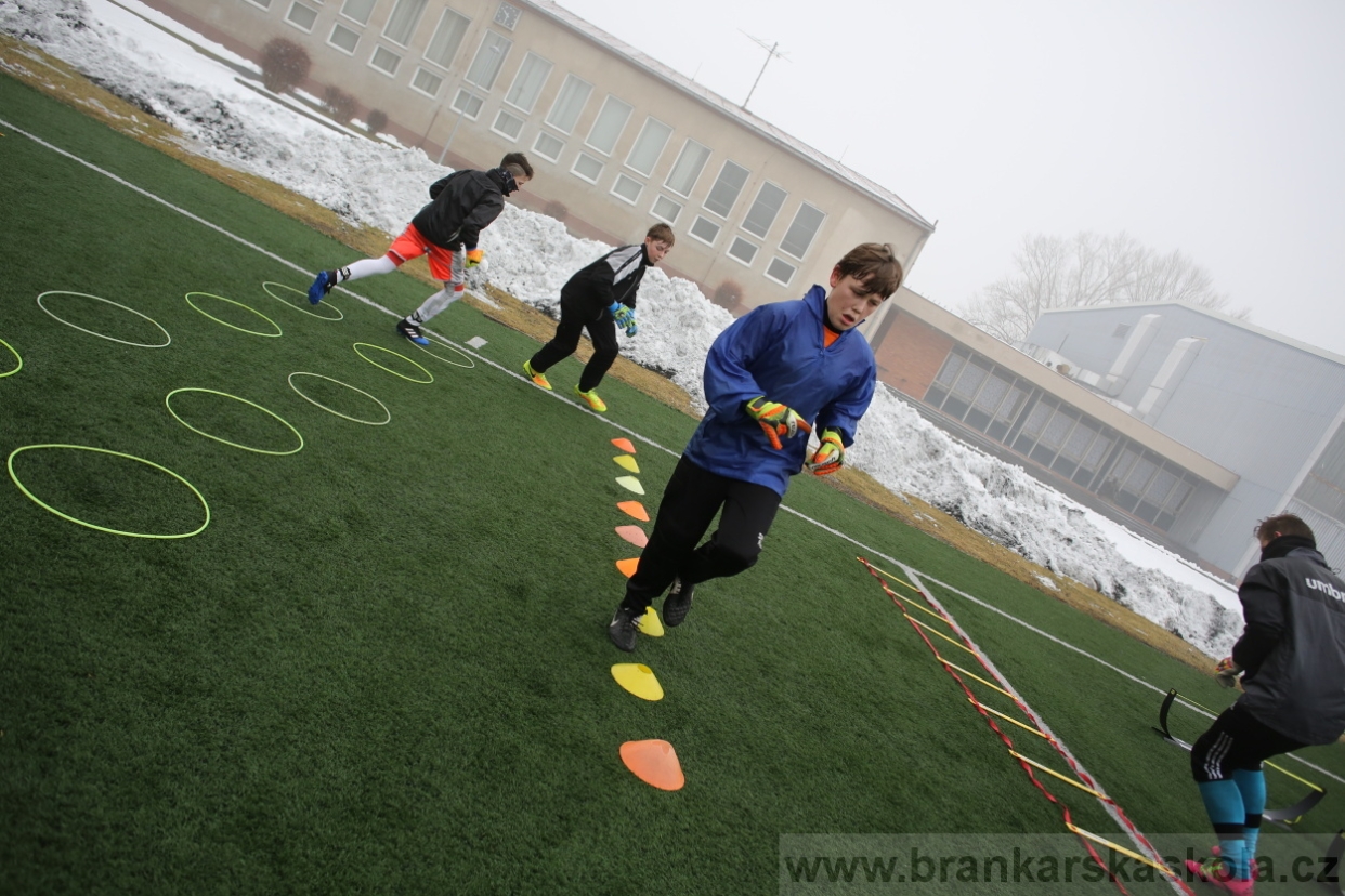 BFŠJCH - Zima 2017 - 3.2,2017