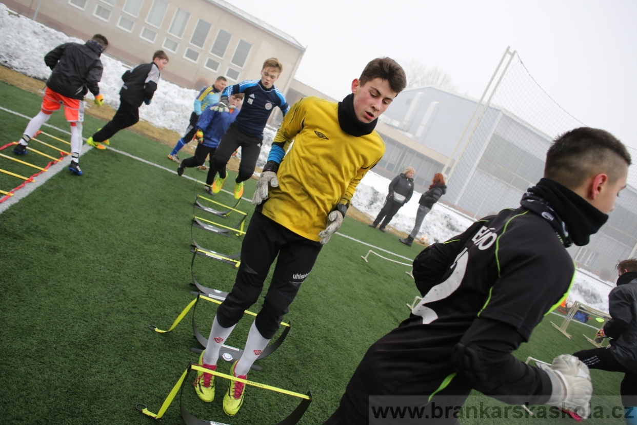 BFŠJCH - Zima 2017 - 3.2,2017