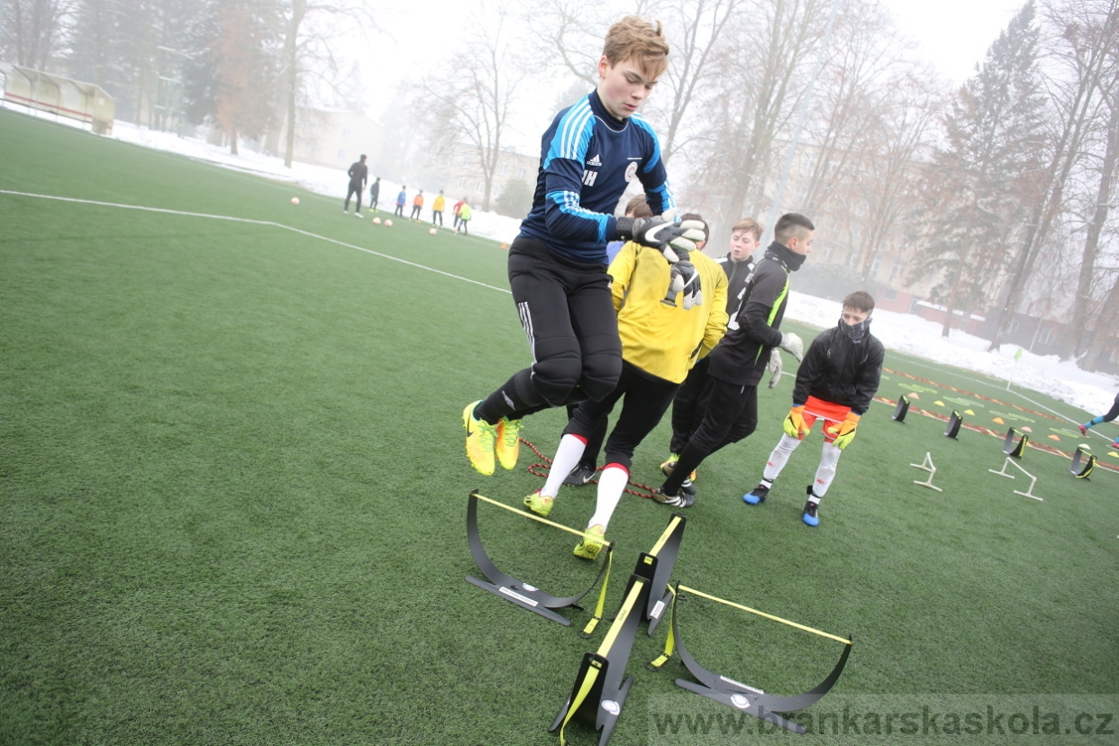 BFŠJCH - Zima 2017 - 3.2,2017