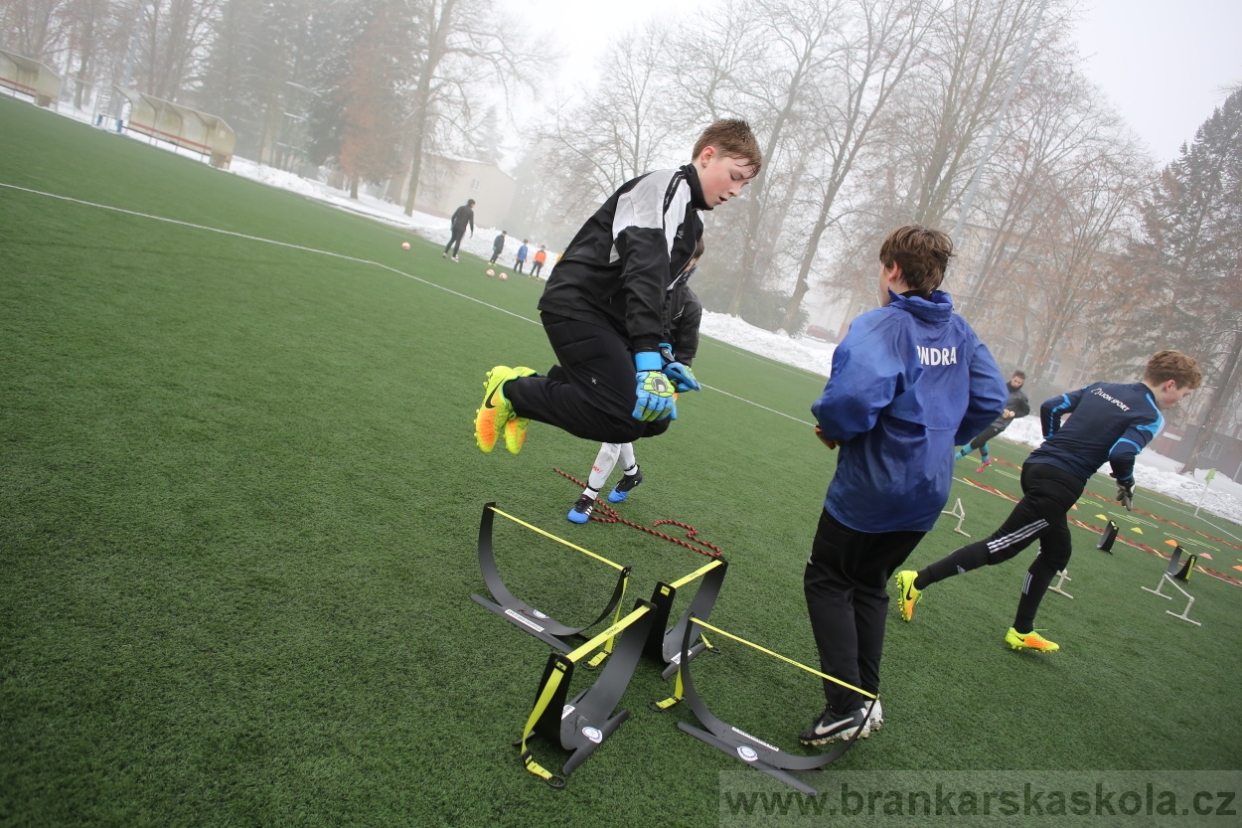 BFŠJCH - Zima 2017 - 3.2,2017