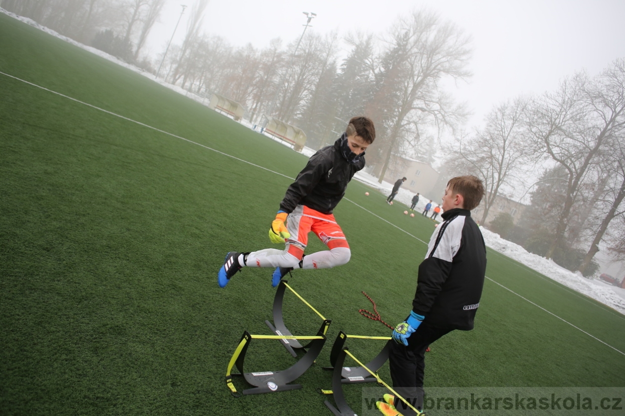 BFŠJCH - Zima 2017 - 3.2,2017