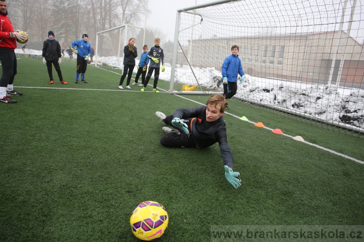 BFŠJCH - Zima 2017 - 3.2,2017