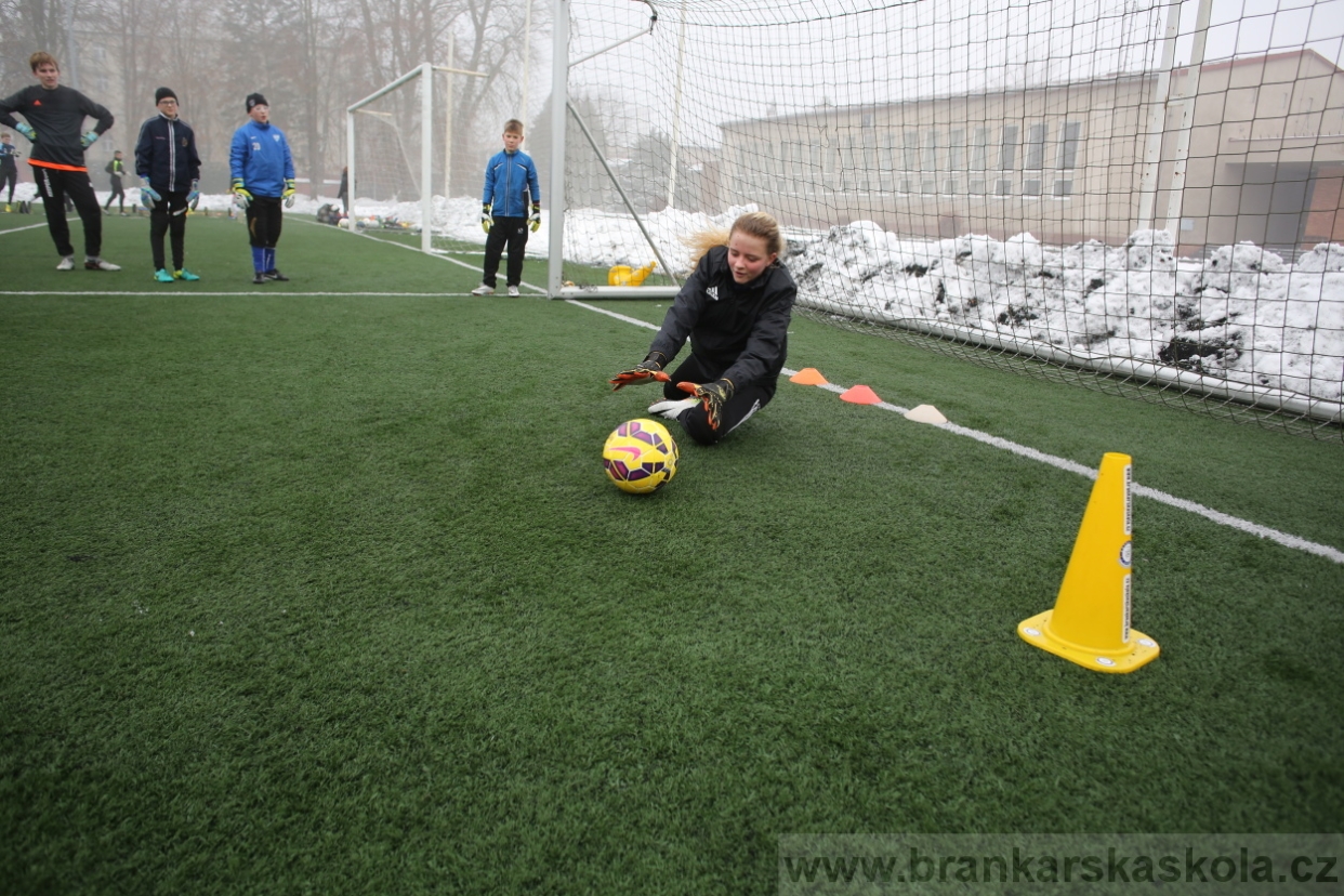 BFŠJCH - Zima 2017 - 3.2,2017