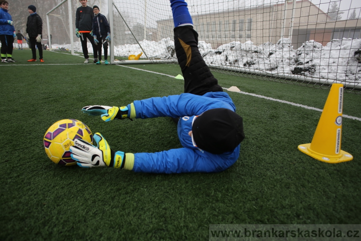 BFŠJCH - Zima 2017 - 3.2,2017