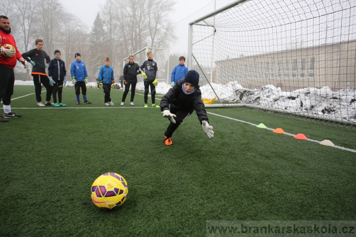 BFŠJCH - Zima 2017 - 3.2,2017