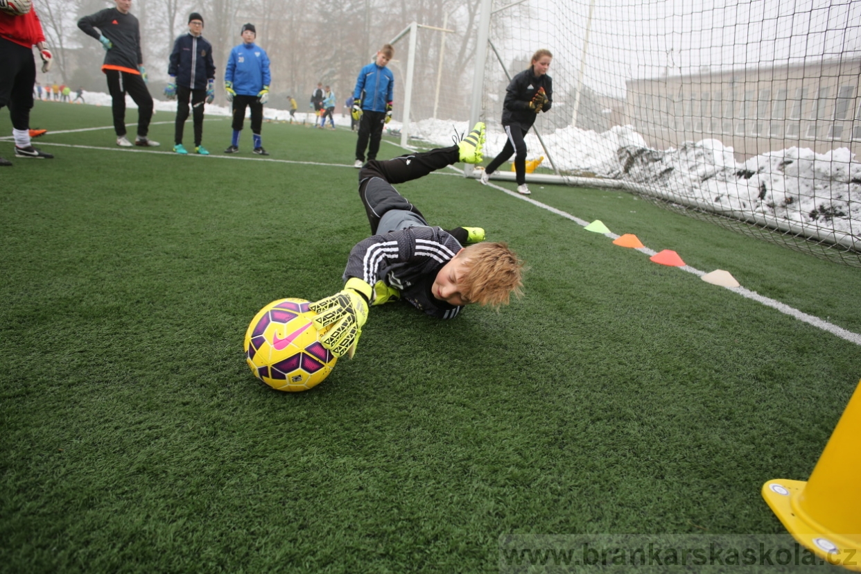 BFŠJCH - Zima 2017 - 3.2,2017