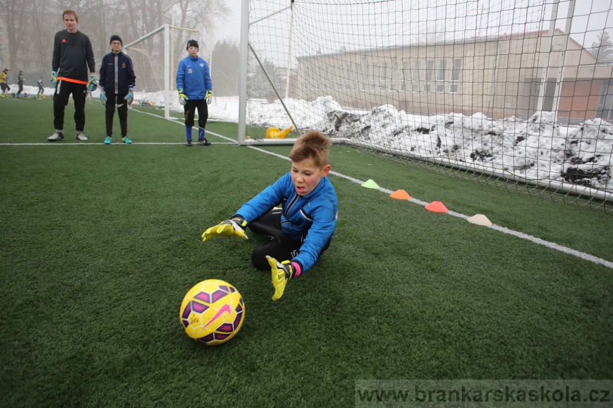 BFŠJCH - Zima 2017 - 3.2,2017