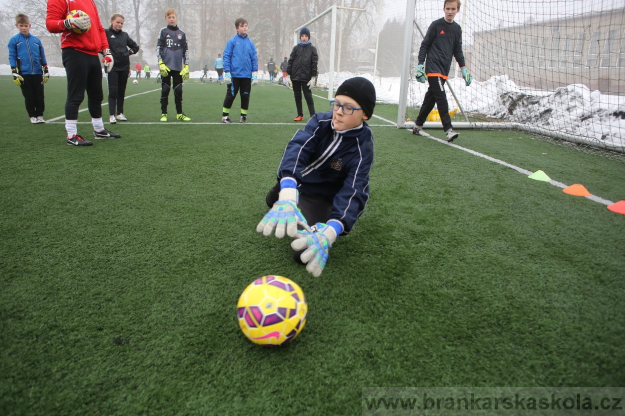 BFŠJCH - Zima 2017 - 3.2,2017