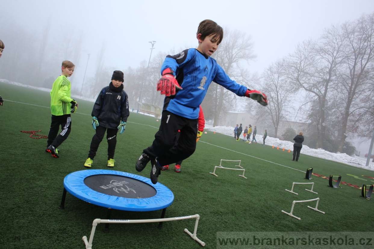 BFŠJCH - Zima 2017 - 3.2,2017
