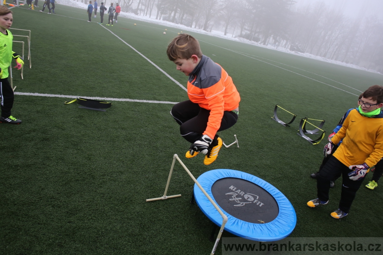 BFŠJCH - Zima 2017 - 3.2,2017