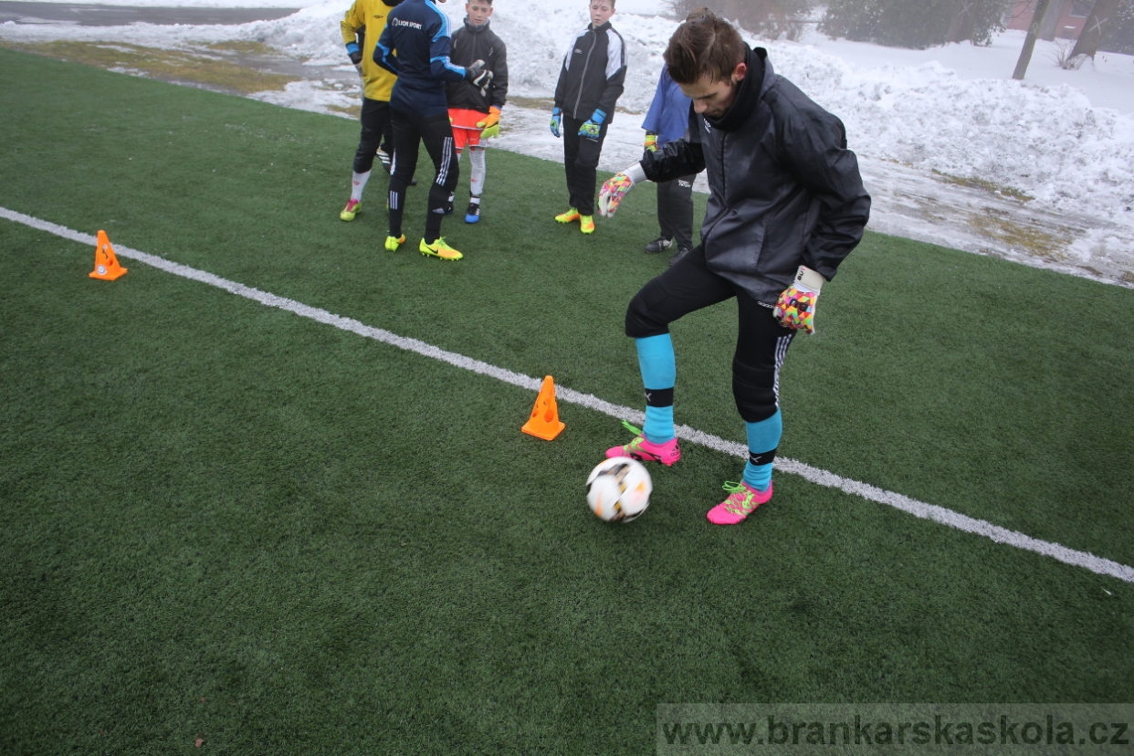 BFŠJCH - Zima 2017 - 3.2,2017