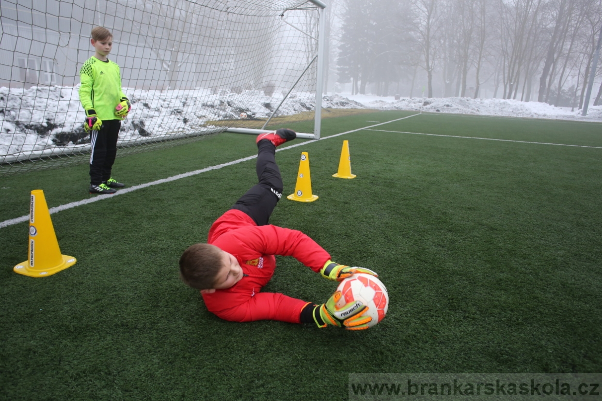 BFŠJCH - Zima 2017 - 3.2,2017